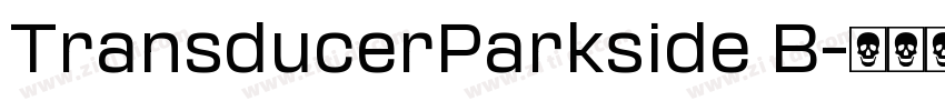 TransducerParkside B字体转换